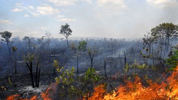MPE adota providências para sensibilizar e combater focos de incêndio