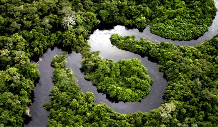 Governo faz acordo internacional para criar unidades de conservação na Amazônia