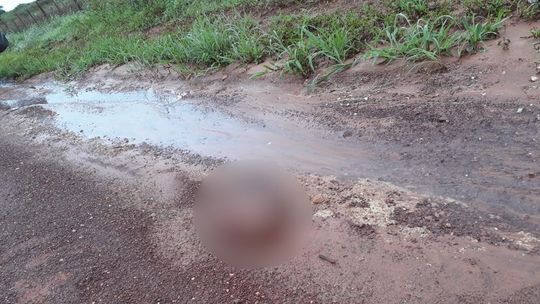 Homem é encontrado morto com pés e mãos amarrados e cabeça decepada 