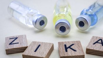 Testes indicam que vacina contra zika pode prevenir a transmissão na gravidez