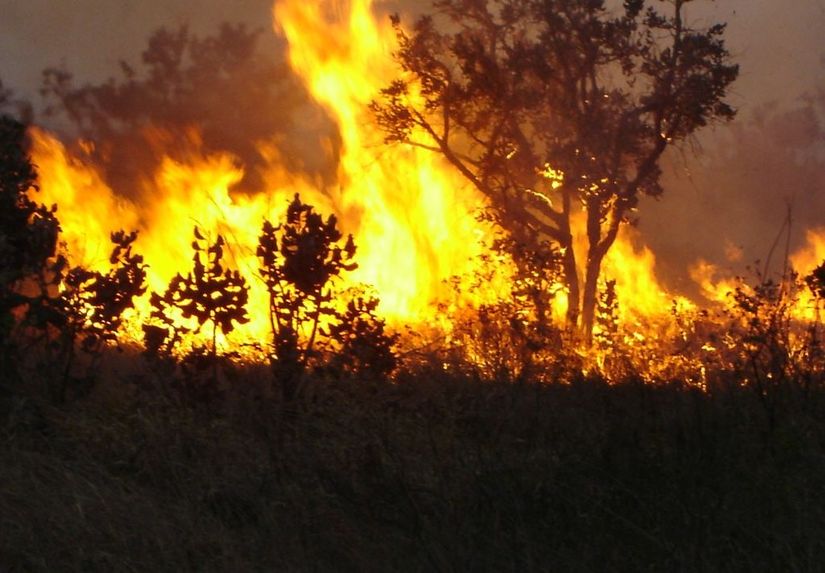 Número de focos de calor em MT tem redução de 20%