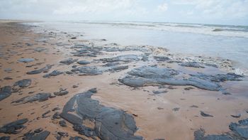 Petrobras retira mais de 200 toneladas de resíduo oleoso de praias