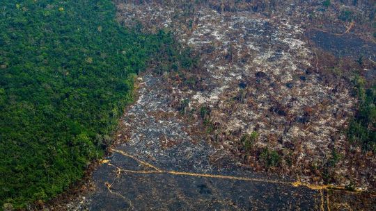 Mato Grosso é o 2° que mais desmata na Amazônia 