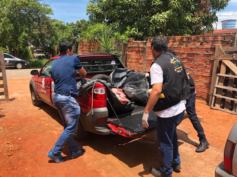 Grupo envolvido com furto e abate de gado é desarticulado pela Polícia Civil