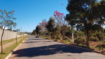 Prefeitura vai cortar árvores em obra de Parque Ambiental