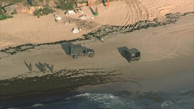 Exército reforça limpeza de praias atingidas por óleo no litoral de Pernambuco 