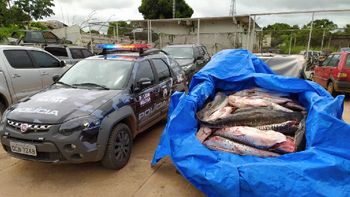 Polícia Militar apreende 468 quilos de pescado irregular em Cáceres