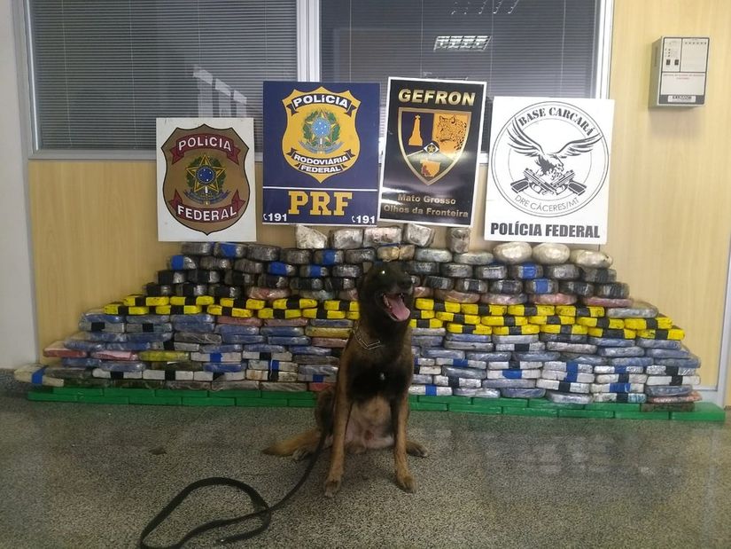 Motorista e passageiro de carreta são presos com mais de 200 kg de cocaína