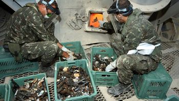 Armas apreendidas de criminosos poderão ser usadas por forças de segurança