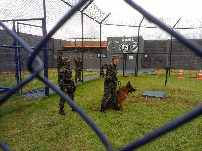 Uso de cães para reforçar segurança penitenciária é regulamentado