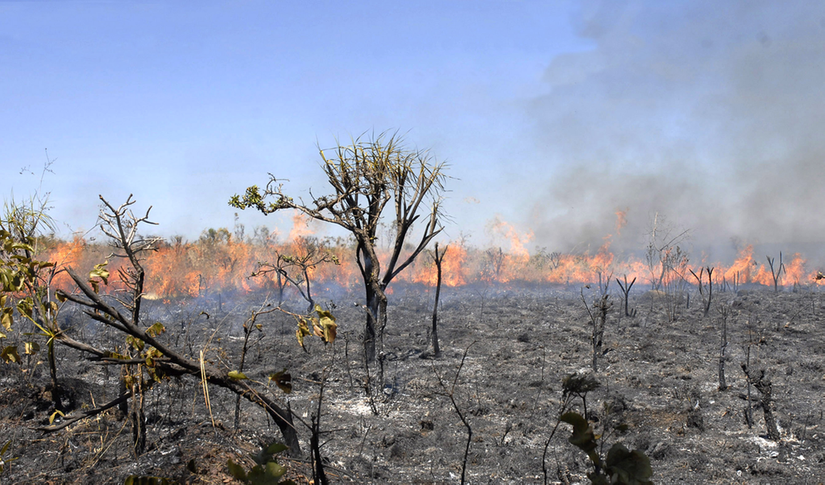 Com número recorde de queimadas, fumaça cobre os céus do Brasil