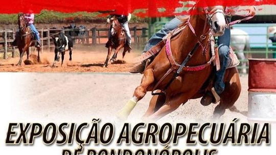 Internautas se revoltam e alegam que Exposul é só “maquinário”