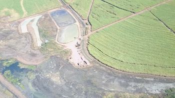 Sema autua e embarga usina responsável por acidente ambiental
