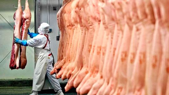 UE e 14 países suspendem temporariamente importação de carne brasileira