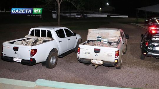 Mais de 700 Kg de pescado impróprio para consumo é apreendido em Rondonópolis