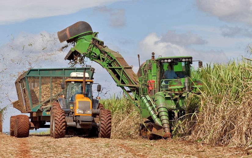 Produção de etanol no Brasil deve cair 4,6% em 2019, diz governo