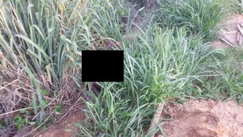 Corpo de mulher em estado de decomposição é encontrado em matagal no interior 