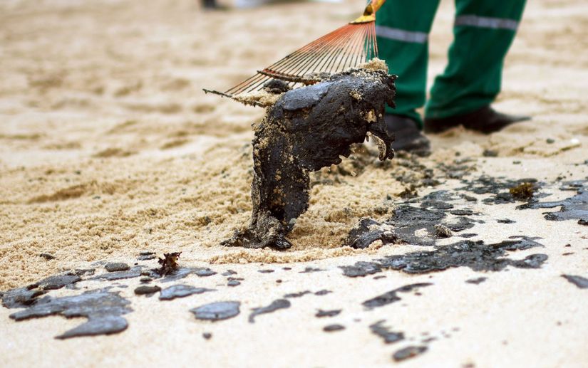 42% acham que Bolsonaro agiu mal em crise do óleo no litoral, diz Datafolha