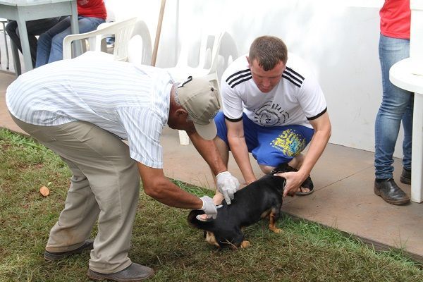 Dia ‘D’ da vacinação antirrábica em Rondonópolis será em 11 de novembro
