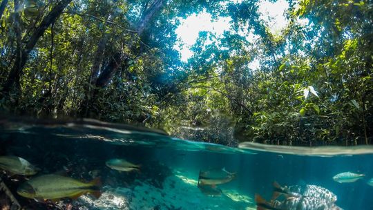 Turismo sustentável é tema da 13ª edição da Semana do Meio Ambiente