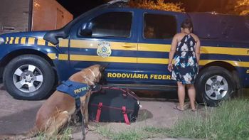 Jovem é presa após cães farejadores acharem droga em mala