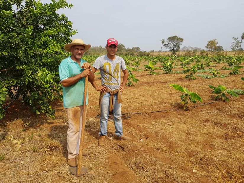 Propriedade rural mantida por pai e filho é considerada modelo pela eficiência na produção