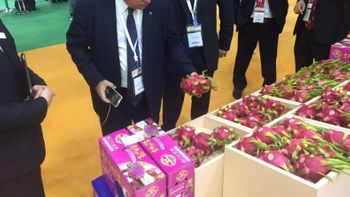 Ministro Blairo Maggi consolida investimento para o Brasil com viagem internacional