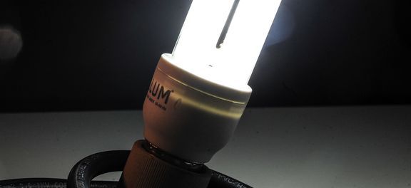Bandeira tarifária da conta de luz em fevereiro será verde, sem cobrança extra