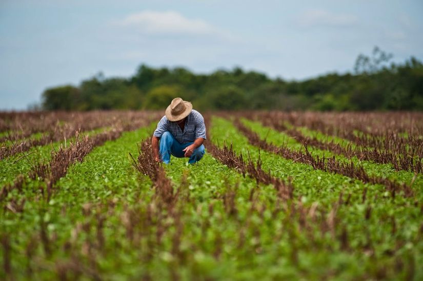 Agropecuária puxa resultado positivo em 2017