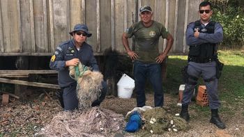 Sema apreende 39 redes utilizadas em pesca predatória