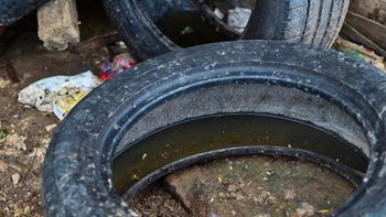 Período de chuvas exige cuidados com risco de dengue e diarreia