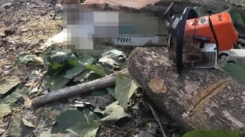 Trabalhador é atingido por tronco de arvore e morre em MT 