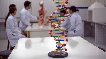 MEC suspende criação de cursos de medicina por 5 anos