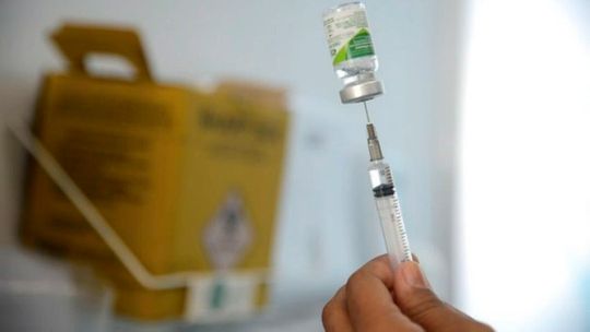 Ministério da Saúde esclarece: Não existe vírus H2N3 no Brasil