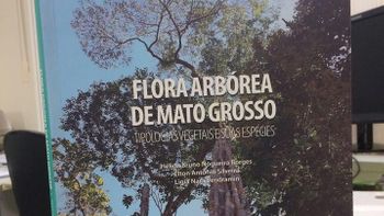 Sema lança versão digital de livro sobre espécies de árvores de MT