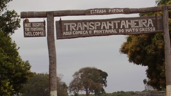 Pantanal de MT recebe 500 toneladas de lixo por ano