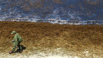 Óleo continua se espalhando e atinge novas praias de Pernambuco