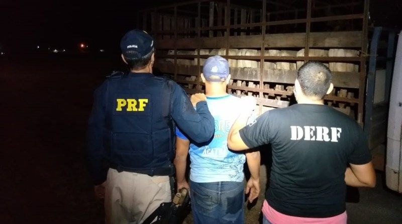 Homem é preso após furtar 16 bezerros de fazenda