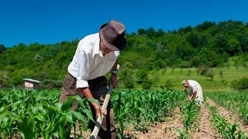 Portaria da AGU regulamenta renegociação do Refis Rural