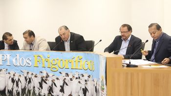Representantes do MAPA e do INDEA são ouvidos por membros da CPI