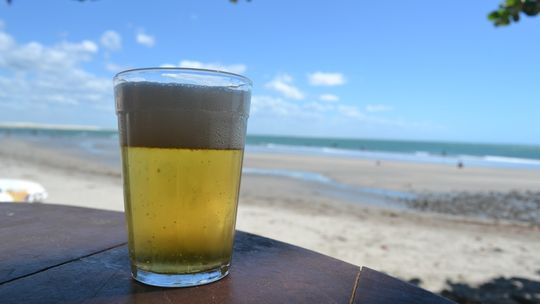 Empresa lista 12 marcas de cerveja mais lembradas do carvanal