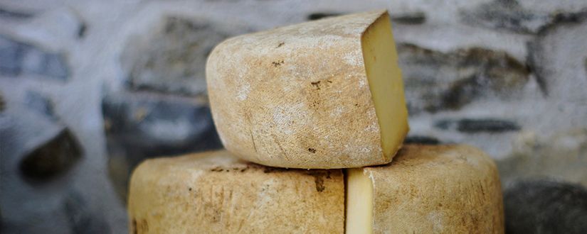 Qual o tipo de queijo mais saudável?