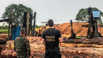 PF deflagra operação contra extração ilegal de madeira em terras indígenas