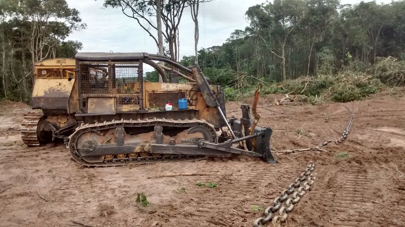 Mato Grosso reduz desmatamento em mais de 10%