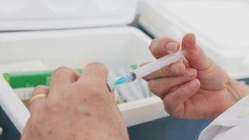 SES orienta população quanto à vacinação da febre amarela 