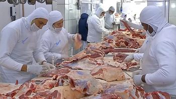 Preço da carne aumenta 20% em MT por grande demanda no exterior 