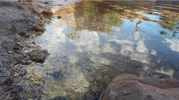 Acidente com caminhão derrama biodiesel em rio de MT