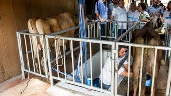 Taques destina R$ 2 milhões para agricultura familiar da região Oeste