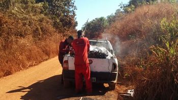 Funcionários são presos por crime ambiental ao queimarem fios elétricos em mata