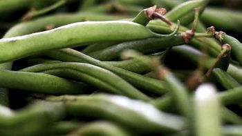 Como escolher e armazenar legumes e verduras?